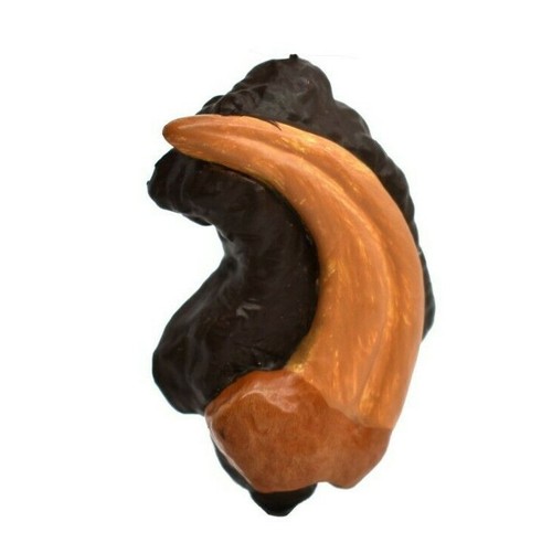 Velociraptor dinosaur claw - velociraptor,